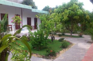 Diem Lien Guesthouse