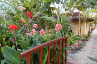 Thuy – Gunter Garden Bungalows