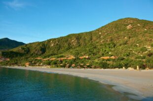 Khu Nghỉ Dưỡng Wild Beach