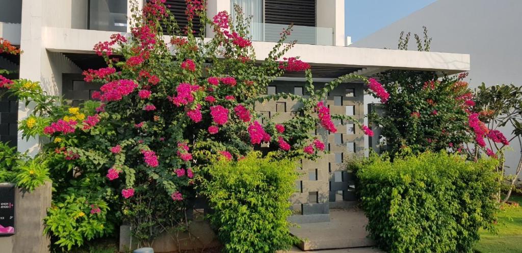 Khu nghỉ dưỡng Oceanami Long Hải Vũng Tàu