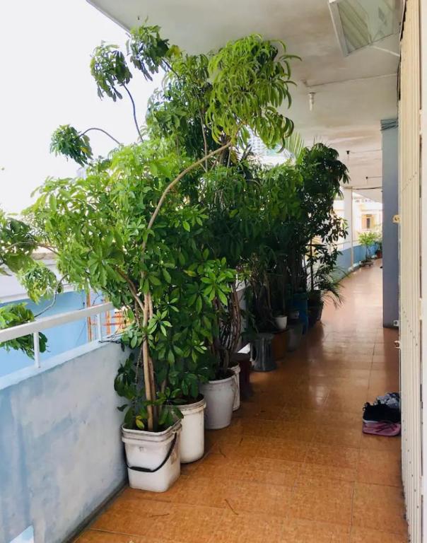 Xanh – Phố Biển – Chợ Đầm