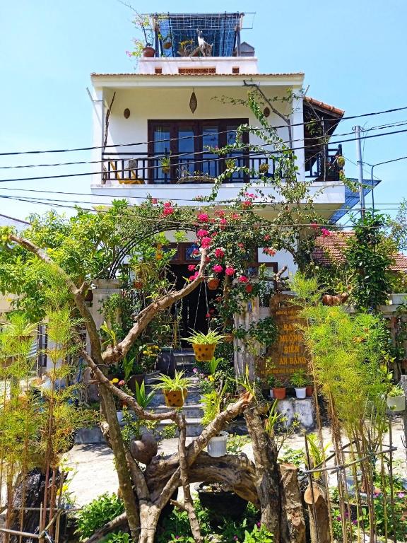 AnBang Morning Glory Beach Homestay 호이안 안방비치 숙소호텔