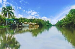 Bamboo Eco Village