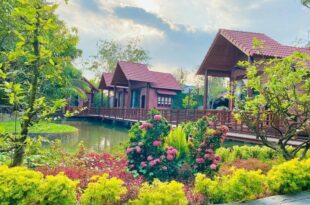 Bao Gia Trang Vien – The Green resort