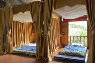 Bikki jungle homestay