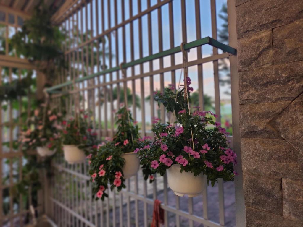 Bonne Vie’ homestay