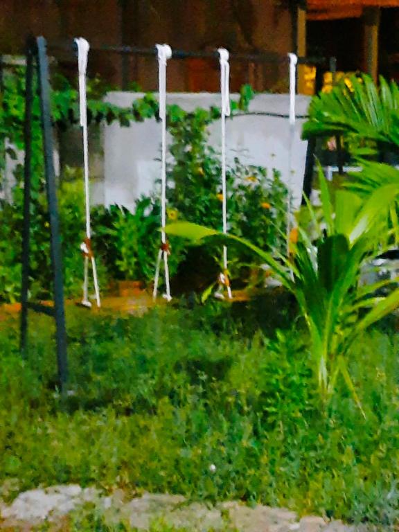 Coco Homestay & Coffee