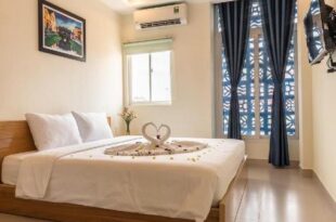 D Central Hoi An Homestay