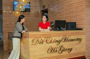 Đồi Thông Homestay