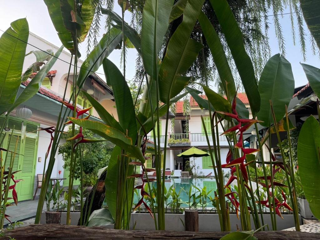 Biệt thự Sân vườn Hội An