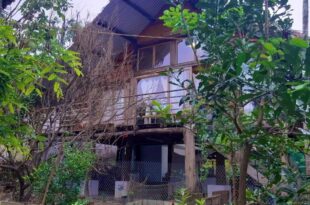 Hoi An Mercy homestay