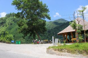 Homestay Cát Lý