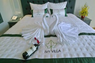 Ivy Villa One Deluxe Room with Double Bed 01