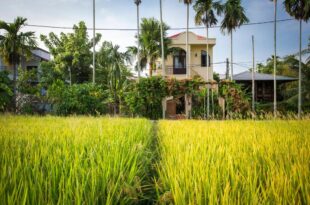 La Maison Gao, Hoi An