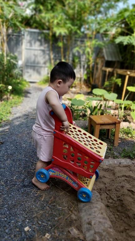 Nhà của Ngỗng – Goose home