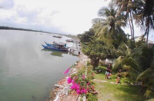 Phuoc Dat Riverside Homestay Hoi An