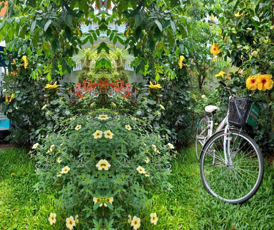 Star Garden Hội An