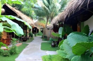 Under The Coconut Tree Hoi An Homestay