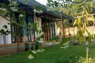 Bebe Homestay Phu Quoc