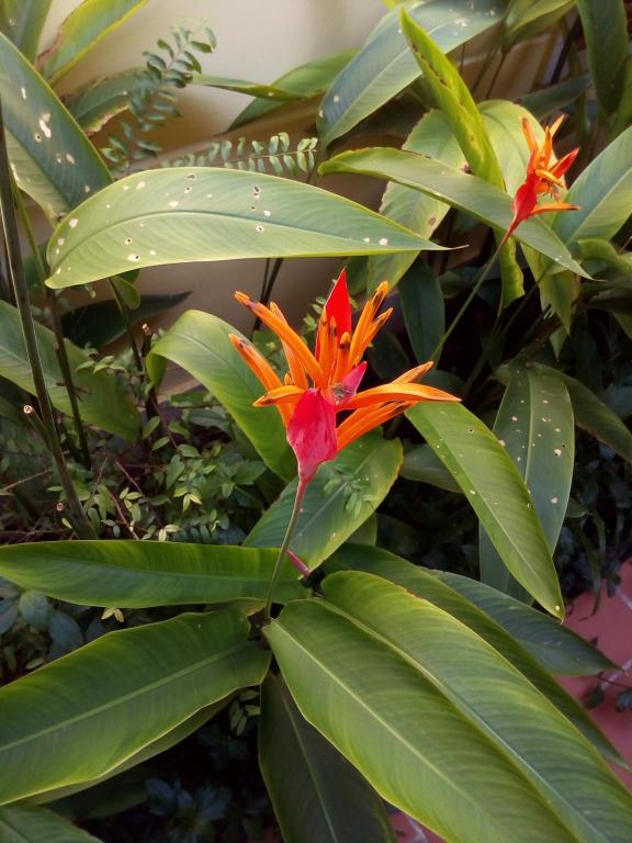 Lien Tho Guest House