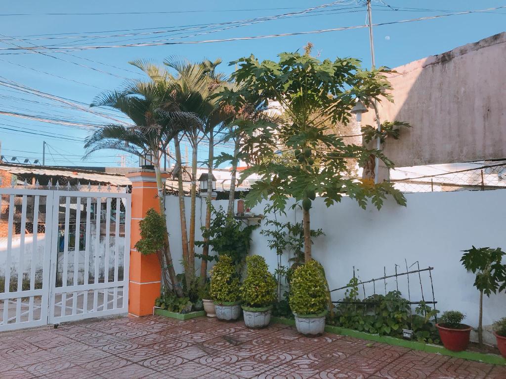 Thien Phu Nghia Guesthouse