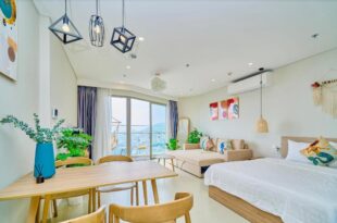 APT Homestay Vung Tau