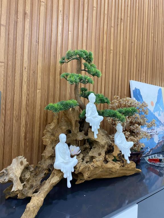 Aurora Homestay Quảng Ngãi