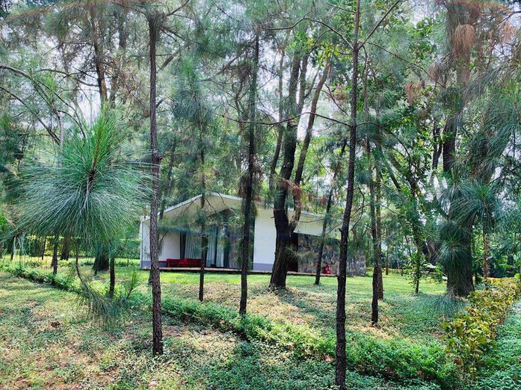 Biệt thự 1 phòng ngủ tại Flamingo- Hilltop H226