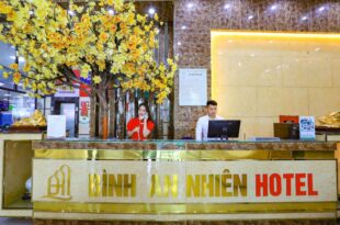 Binh An Nhien hotel