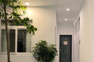 Bloom House – Homestay Vung Tau