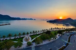 Cat Ba Bay Vision Hotel