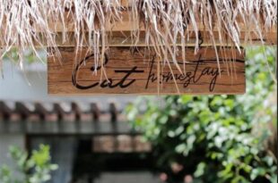 Cat Homestay