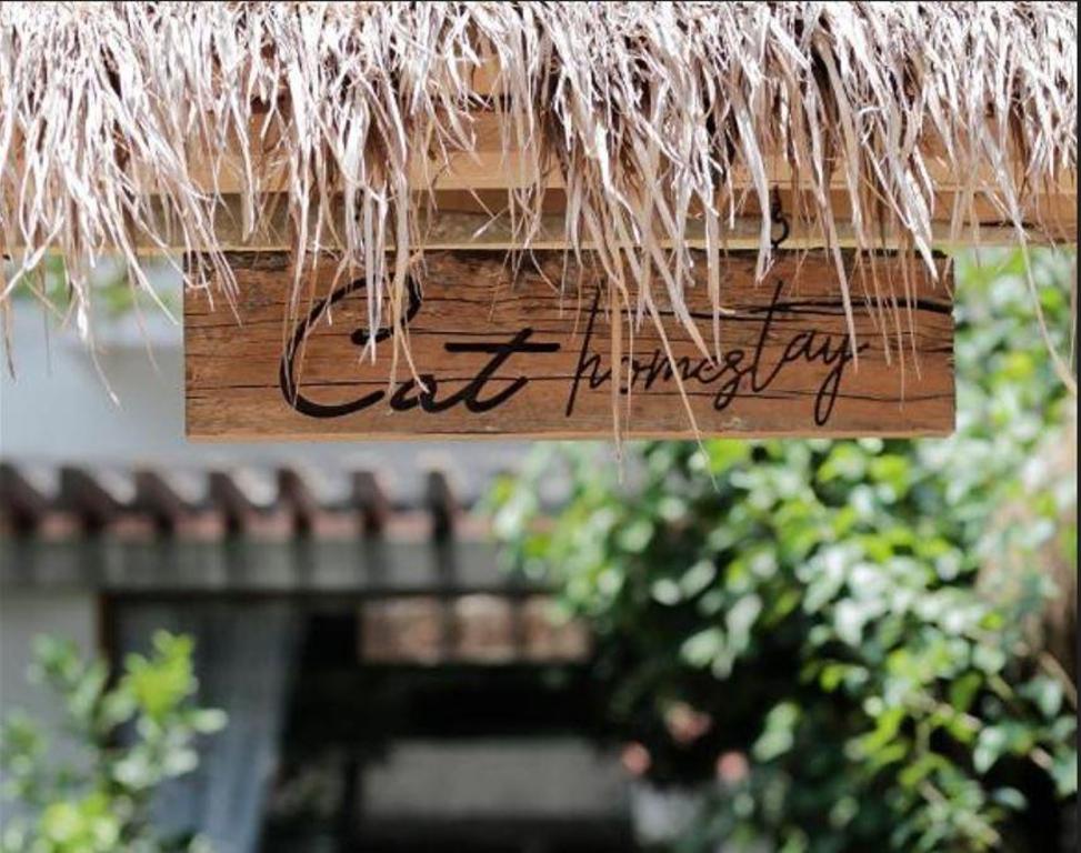 Cat Homestay hue