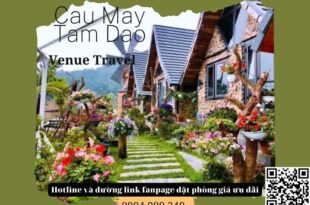 Cau May Tam Dao – Venuestay