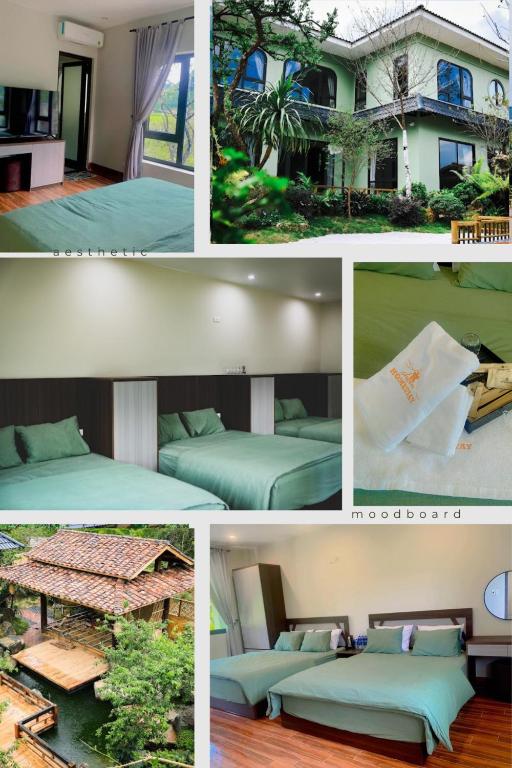 Châu homestay – Mộc Châu , Sơn La