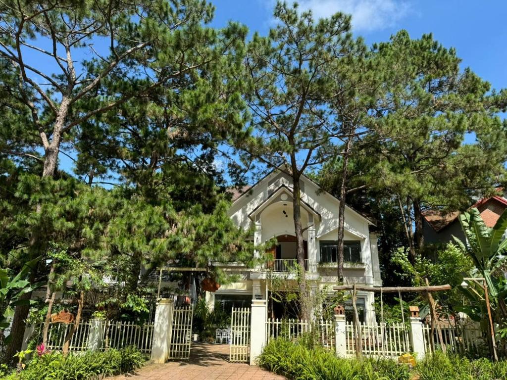 Chủ Nhật Homestay Măng Đen