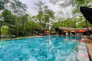 Dai Lai Resort- Forest Villa