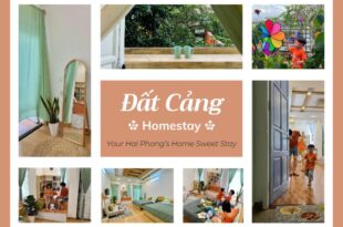 Đất Cảng Homestay