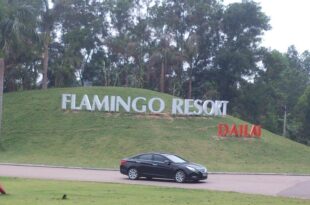 Flamigo Dai Lai Resort – Villa Chủ Tự Doanh