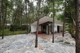 Forest Villa in Dai Lai Resort