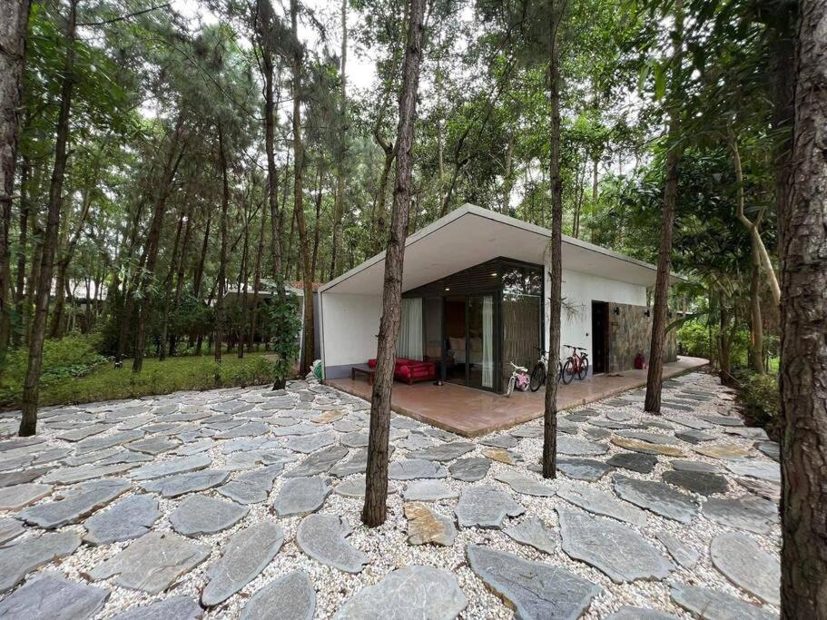 Forest Villa in Dai Lai Resort