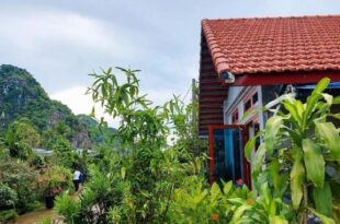 Green Farmstay Ninh Bình