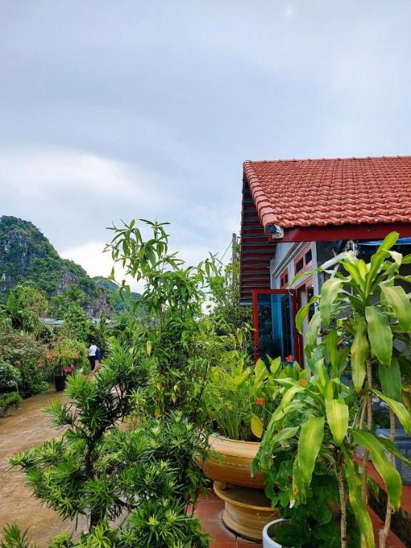 Green Farmstay Ninh Bình