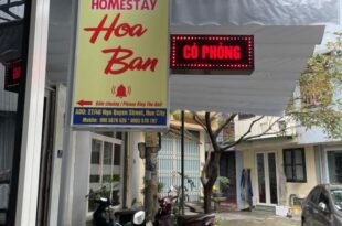 Hoa ban Homestay