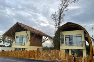 KVF Homestay