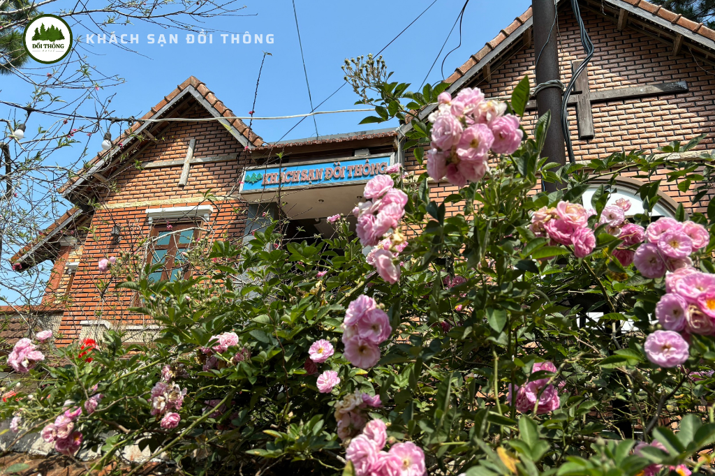 Khách Sạn Đồi Thông