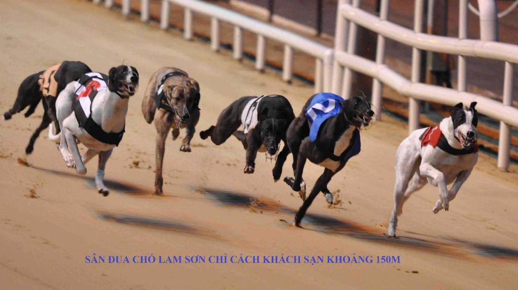 Khách Sạn Lam Sơn