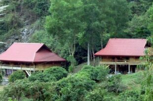 Khách sạn Cát Bà Eco Lodge