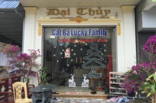 Khách sạn Lucky Family Cát Bà