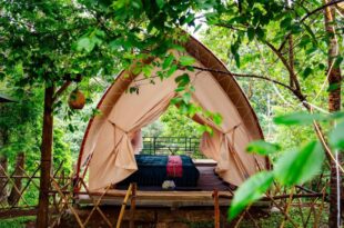 Khu Gghỉ Dưỡng glamping Pa Sỹ 3